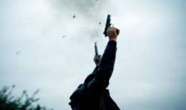 नये साल के जश्न में हुई गोलीबारी में बच्चे और महिलाओं सहित 22 लोग घायल