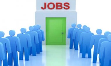 महासमुंद : 603 पदों पर होगी भर्ती, 8वीं पास भी कर सकते हैं आवेदन