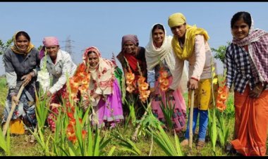 नीलगिरी, मैंथा, लेमनग्रास, खस की खुशबू बिखेरेगा ओटगन गौठान
