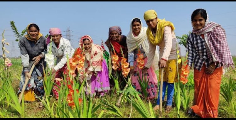 नीलगिरी, मैंथा, लेमनग्रास, खस की खुशबू बिखेरेगा ओटगन गौठान