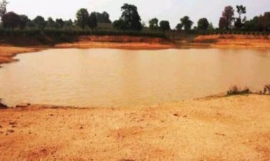 समूह की महिलाएं कर रही मछली पालन गांव के आस-पास के लगभग 4 से 6 एकड़ जमीन में किसानों को मिलने लगी सिंचाई की सुविधा