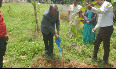 माननीय जिला एवं सत्र न्यायाधीश/अध्यक्ष जिला विधिक सेवा प्राधिकरण,रायपुर द्वारा प्रांगण में करंज का पौधारोपण किया