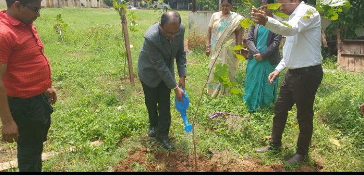 माननीय जिला एवं सत्र न्यायाधीश/अध्यक्ष जिला विधिक सेवा प्राधिकरण,रायपुर द्वारा प्रांगण में करंज का पौधारोपण किया