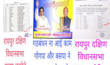 बसपा और गोगपा की महागठबंधन क्या रूप ले रही हैं समझ से परे है।