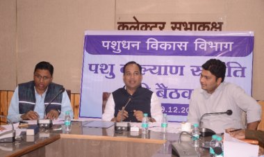 कलेक्टर डाॅ. गौरव सिंह ने ली पशु कल्याण समिति की बैठक   भेड़ एवं बकरी की सर्जरी होगी निःशुल्क, पशु चिकित्सा के लिए 14 लाख की मंजूरी