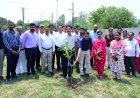 विश्व पर्यावरण दिवस पर संभागायुक्त कार्यालय परिसर में पौधरोपण
