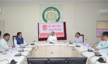 जनहित की योजनाओं के लक्ष्य समय पर पूरे करें, ऋण प्रकरणों का शीघ्र निराकरण करें - कलेक्टर