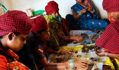 सफलता की कहानी    बिहान योजना से लखपति दीदी बनी प्रेम वर्षा