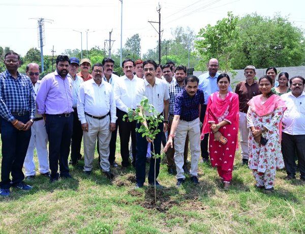 विश्व पर्यावरण दिवस पर संभागायुक्त कार्यालय परिसर में पौधरोपण