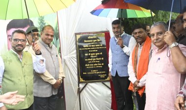 वन मंत्री श्री केदार कश्यप ने किया बिलासा ताल में वुडन ब्रिज का लोकार्पण