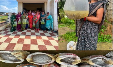 मछली पालन से सेमरताल की 100 ग्रामीण महिलाओं एवं परिवारों को मिला आत्मनिर्भरता का नया अवसर
