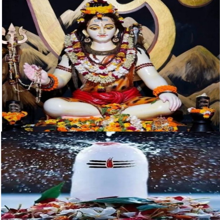 सावन हिंदी पंचांग का पांचवां महीना होता है. ये माह शिव भक्ति को समर्पित किया गया है.