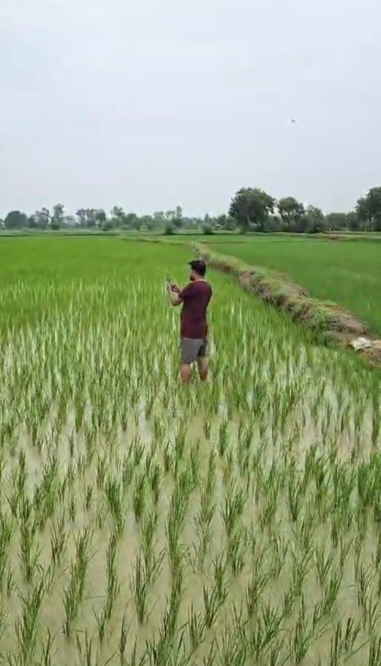 एग्रीस्टेक परियोजना के तहत 703 गांवों में डिजिटल क्रॉप सर्वे शुरू
